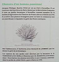 17a - J. P. M. Cels, collectionneur de plantes succulentes (1).jpg